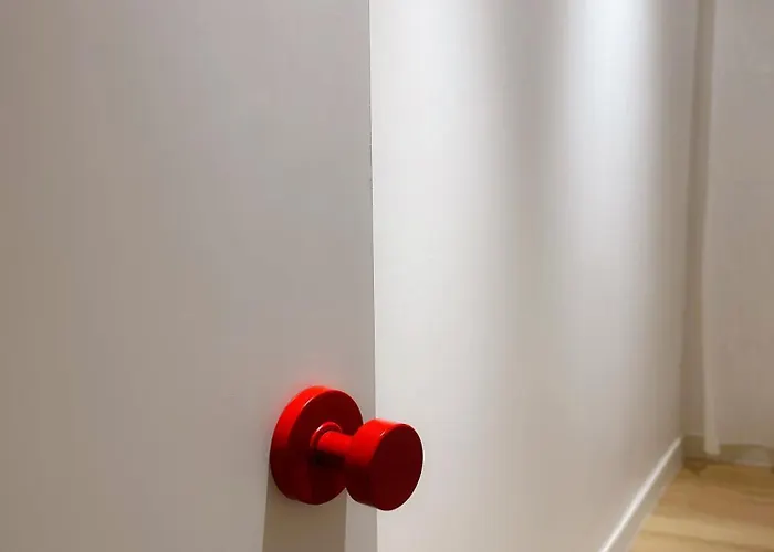 Morly The Cat's ソウル特別市