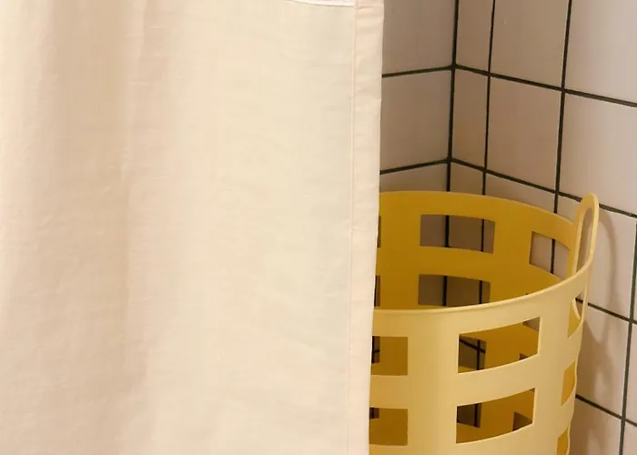 Morly The Cat's ソウル特別市